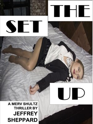 cover image of The Set Up